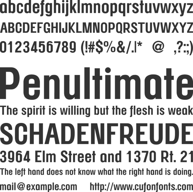 NZCasimile Font font preview