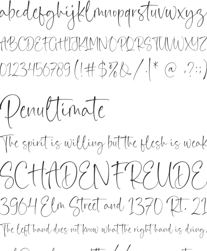 Bloombest font preview