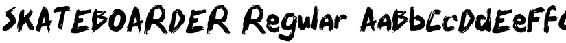 SKATEBOARDER font download