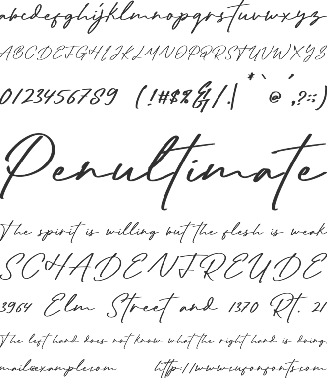 Radditya Signature font preview