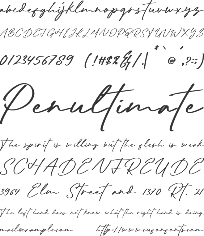 Radditya Signature font preview