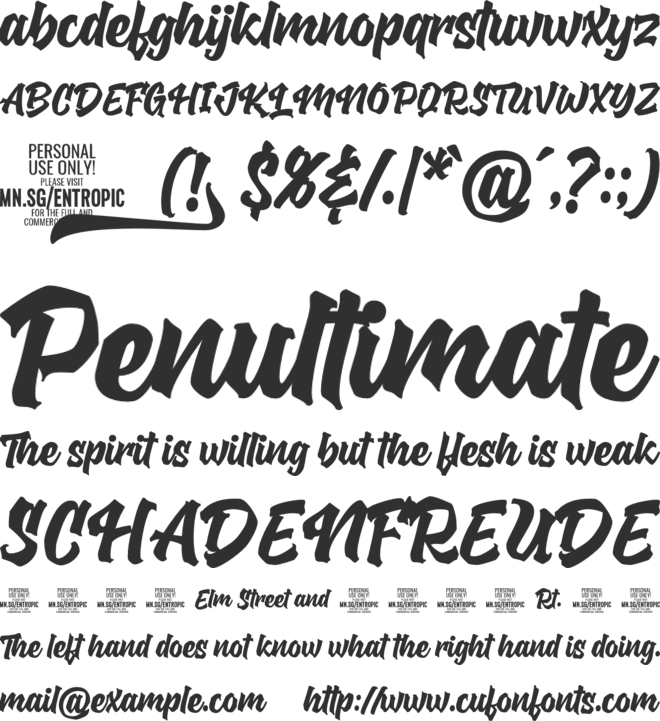 Entropic Brush PERSONAL USE font preview