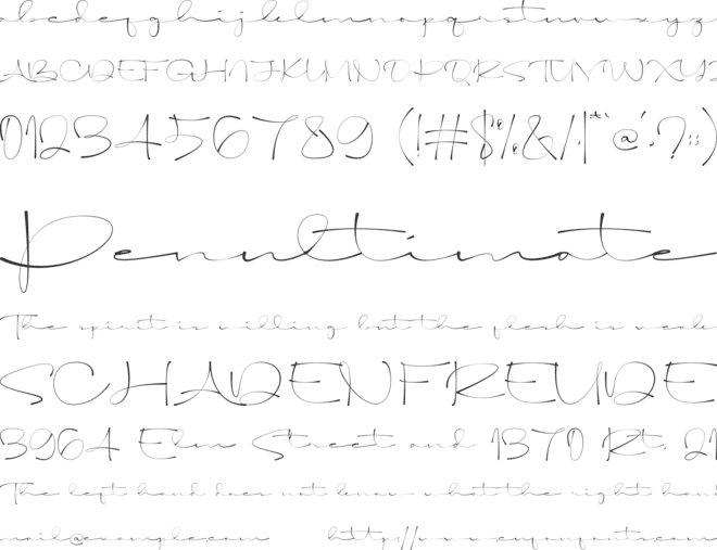 Solami Signature font preview