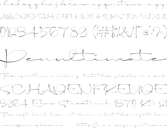 Solami Signature font preview
