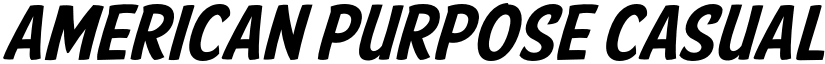 American Purpose Casual 02 font