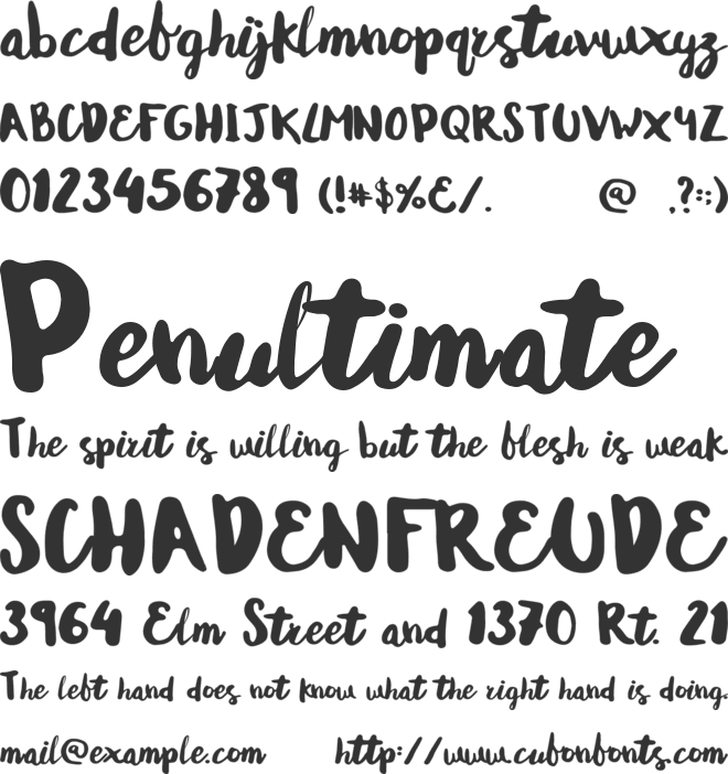 Andrea Normal font preview