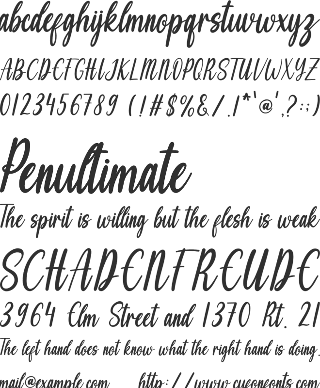 Shania font preview
