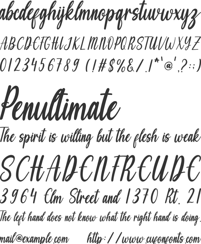 Shania font preview