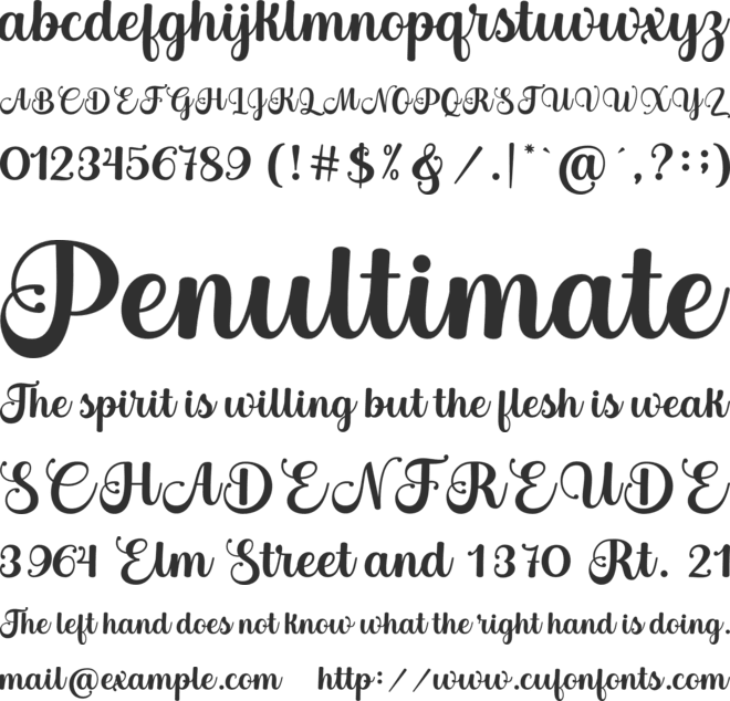 Bertha Script font preview
