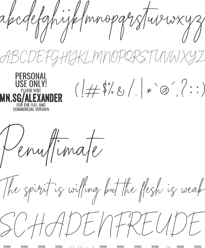 Alexander Lettering PERSONAL font preview