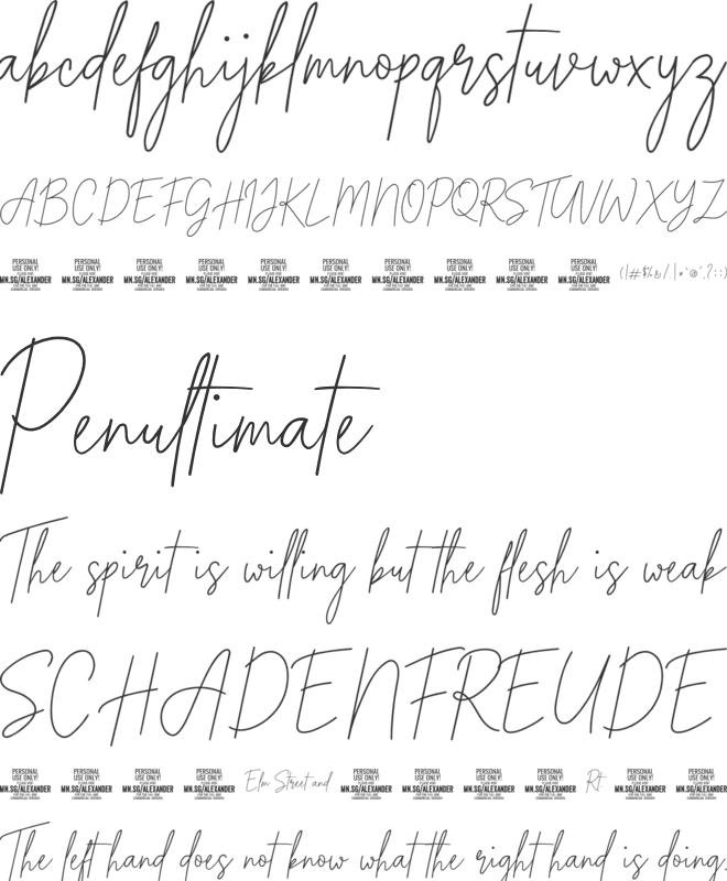 Alexander Lettering PERSONAL font preview