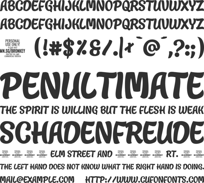 Bronkey PERSONAL USE ONLY font preview
