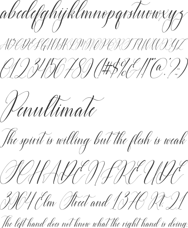 Fingertip font preview