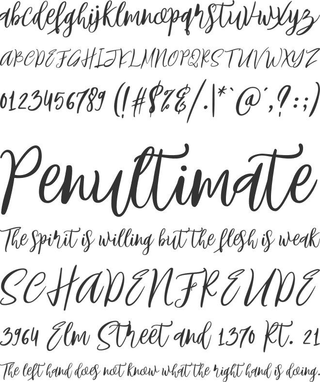 Birdland font preview