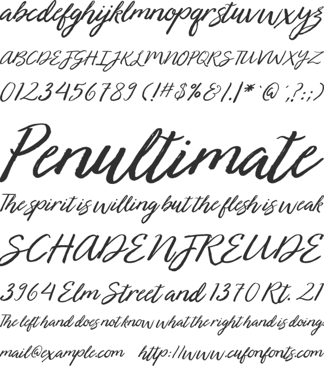 Bearded font preview