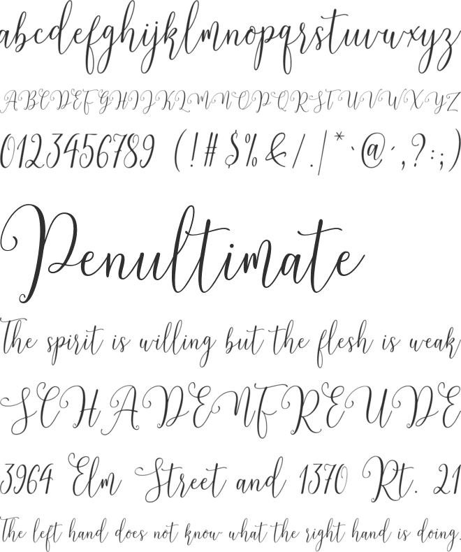Angelica font preview