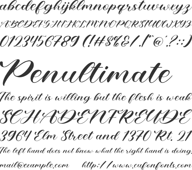 Amtyara Script font preview