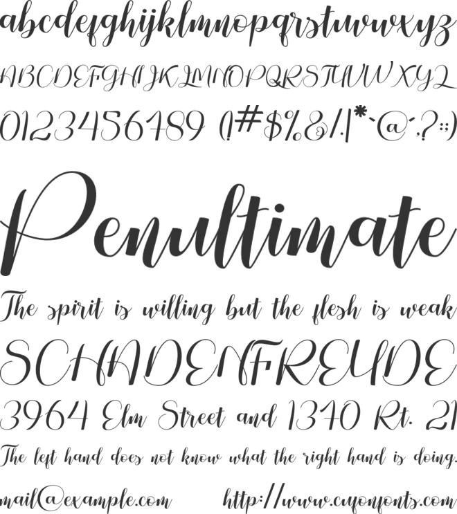 Amole font preview