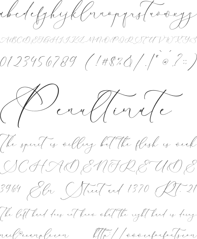 Charttisle Wadfield font preview