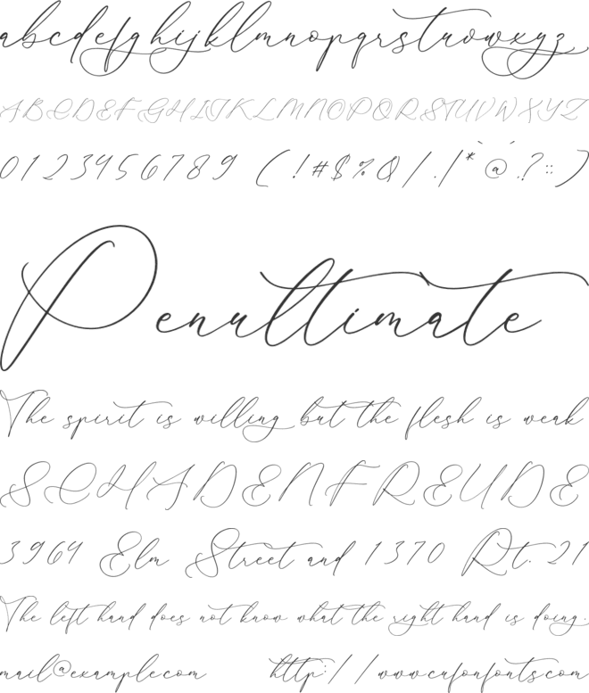 Glofester Menditas font preview
