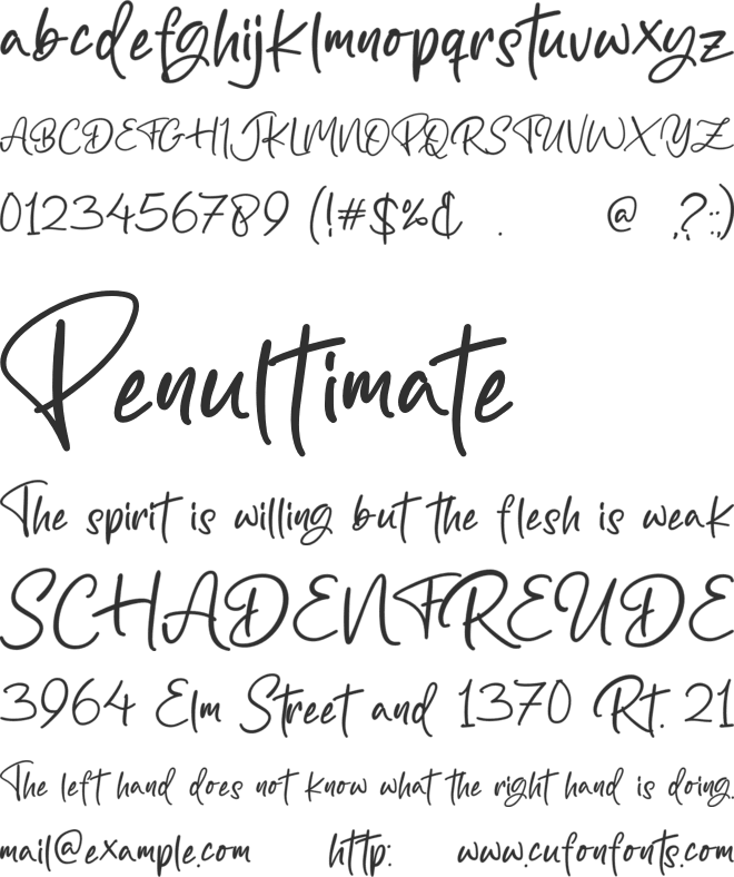 Bilya Signature font preview