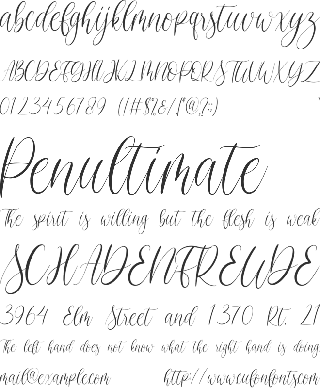 Christmasfest font preview