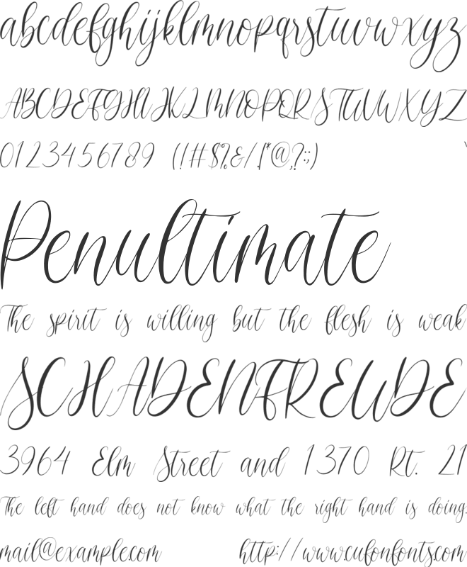Christmasfest font preview