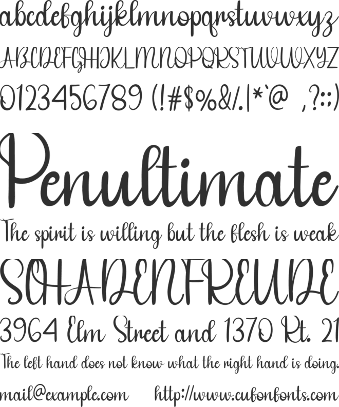 Swimming font preview