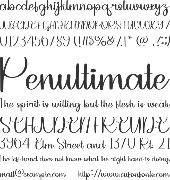 Mandala Wedding font preview