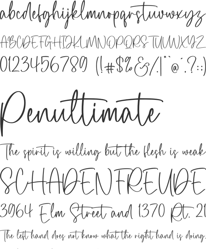 Dream Collection font preview