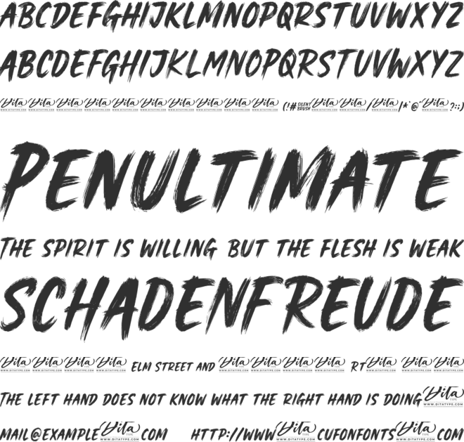 Silent Brush font preview