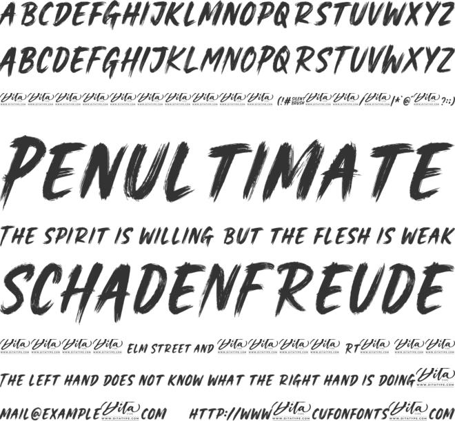 Silent Brush font preview