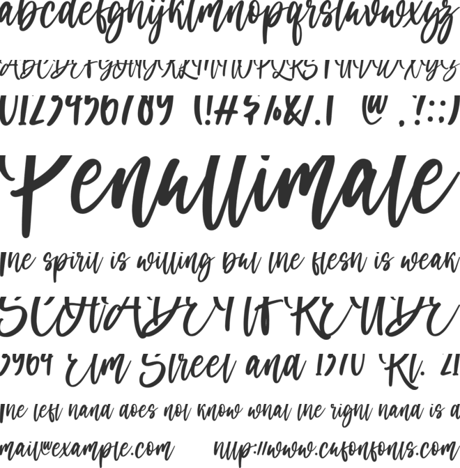 Samarinda font preview