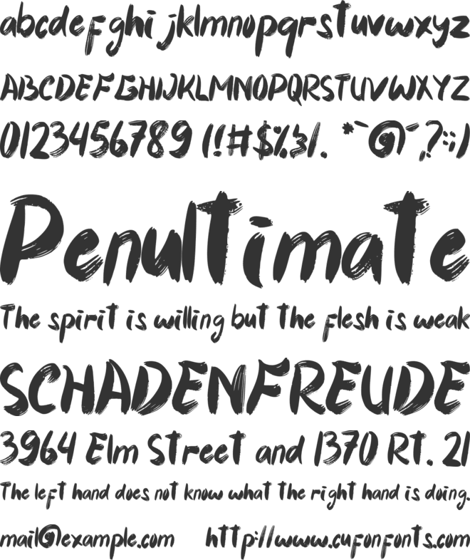 Christmas Brush font preview