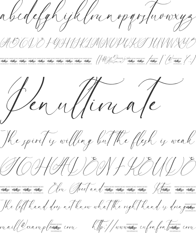 Brown Amsonia font preview