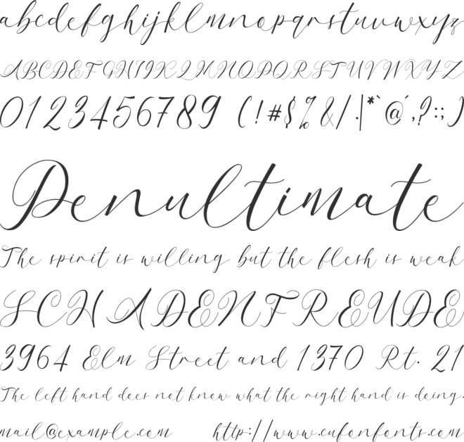 Aulia font preview