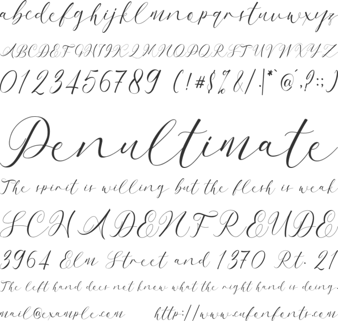 Aulia font preview