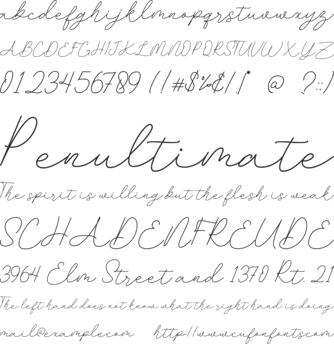 Apollo Butler font preview