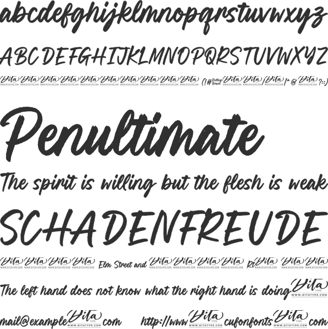 Rolling Brush font preview