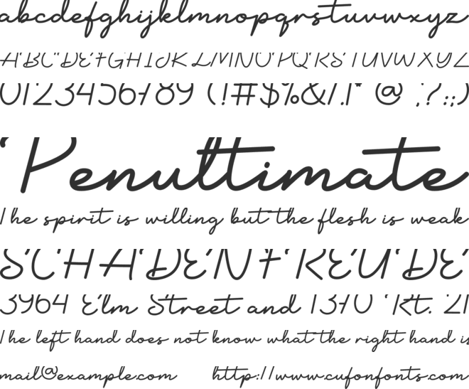Freedom Signature font preview