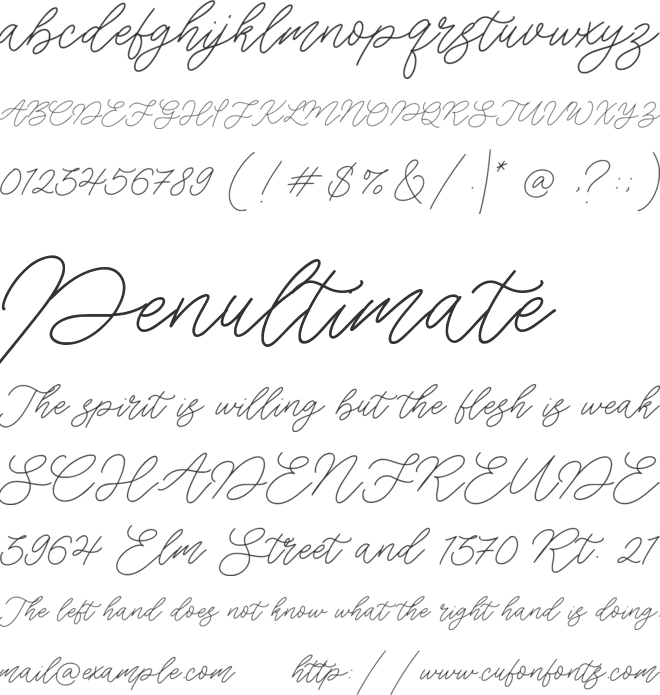 Cotton Fields font preview