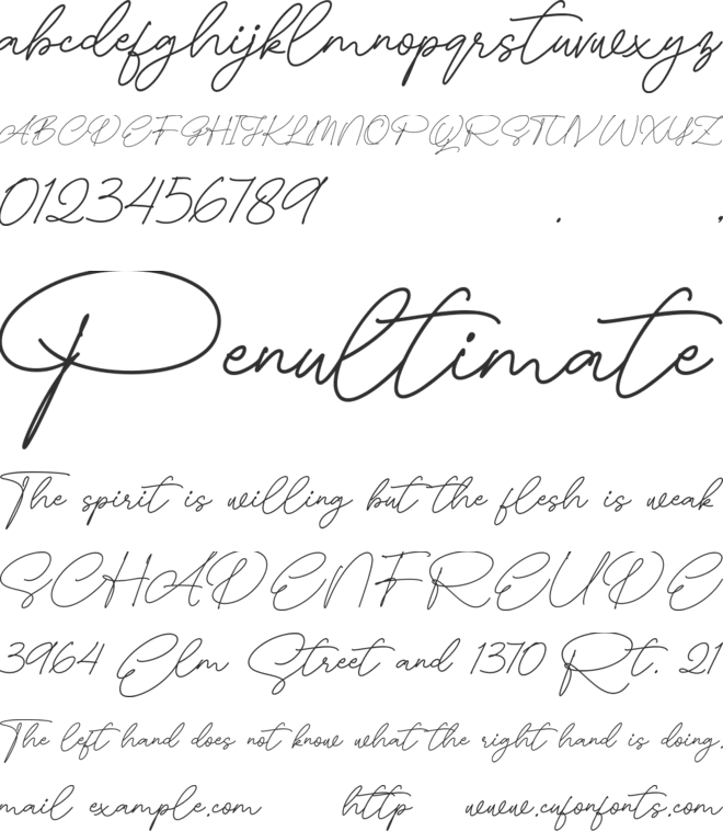 Delicate Butterfly font preview