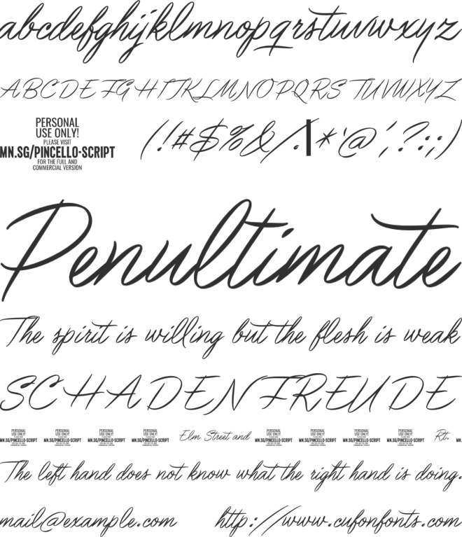 Pincello Script PERSONAL USE font preview