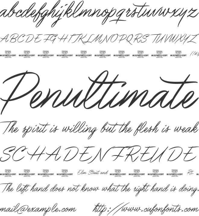 Pincello Script PERSONAL USE font preview