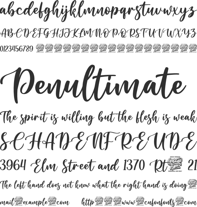 Special Romance font preview