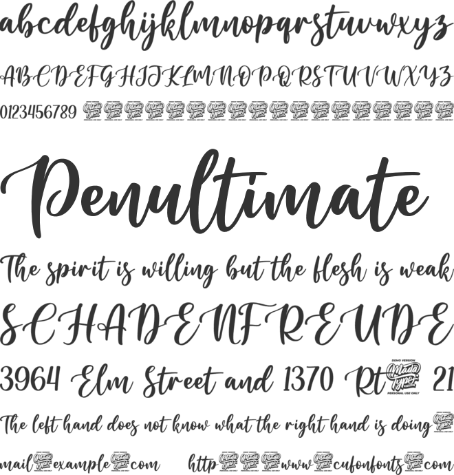 Special Romance font preview