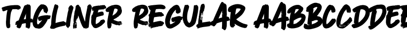 TAGLINER Regular font