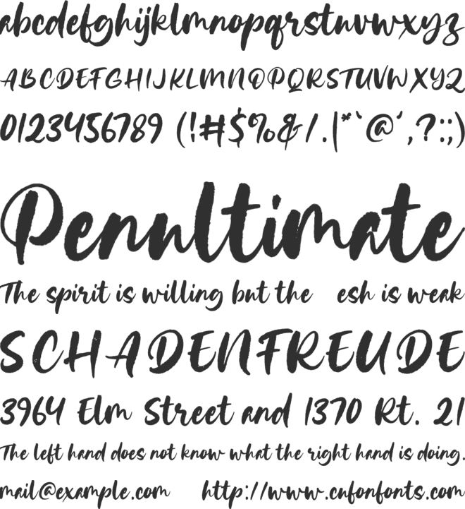 Ping Typeface font preview