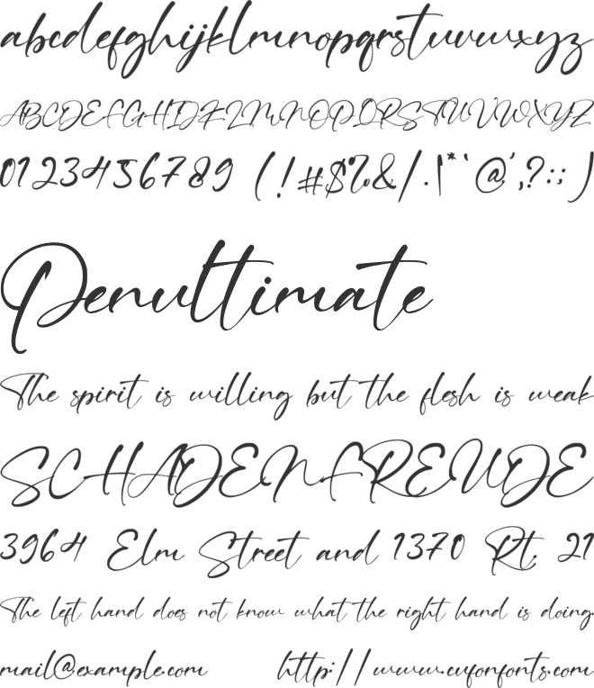 Ving Winston font preview