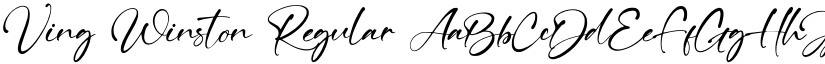 Ving Winston Regular font